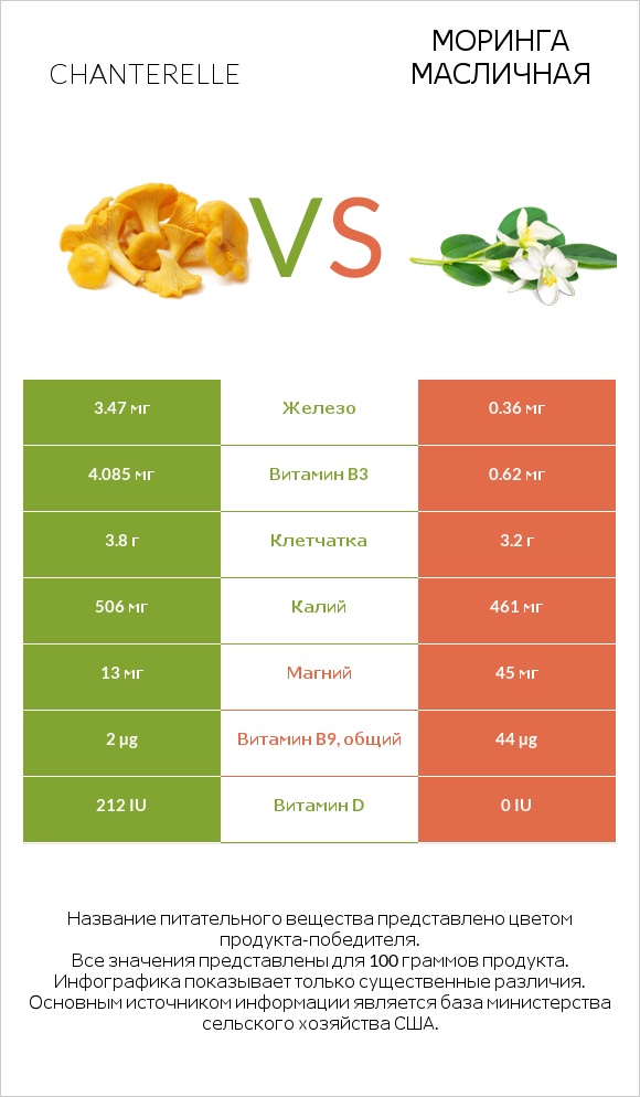 Chanterelle vs Моринга масличная infographic