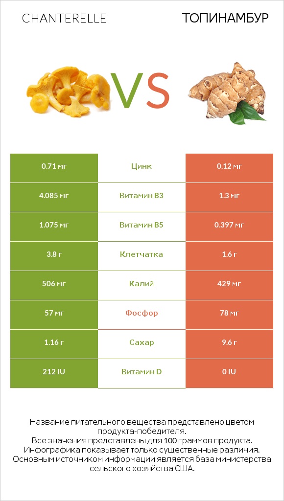 Chanterelle vs Топинамбур infographic