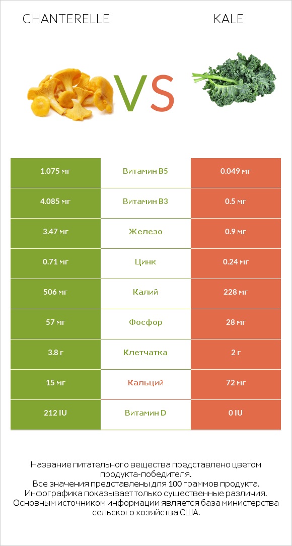 Chanterelle vs Kale infographic