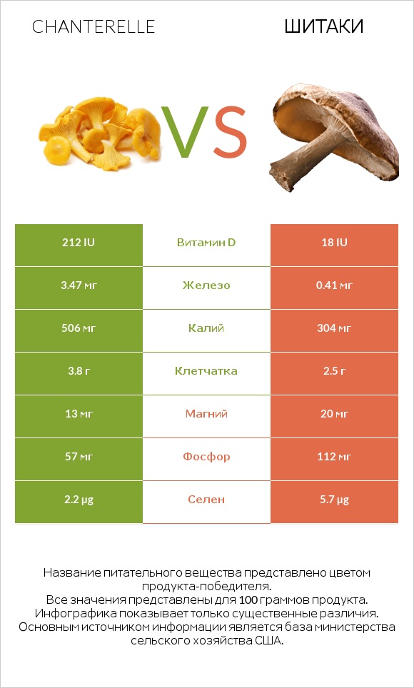 Лисичка обыкновенная vs Шитаки infographic