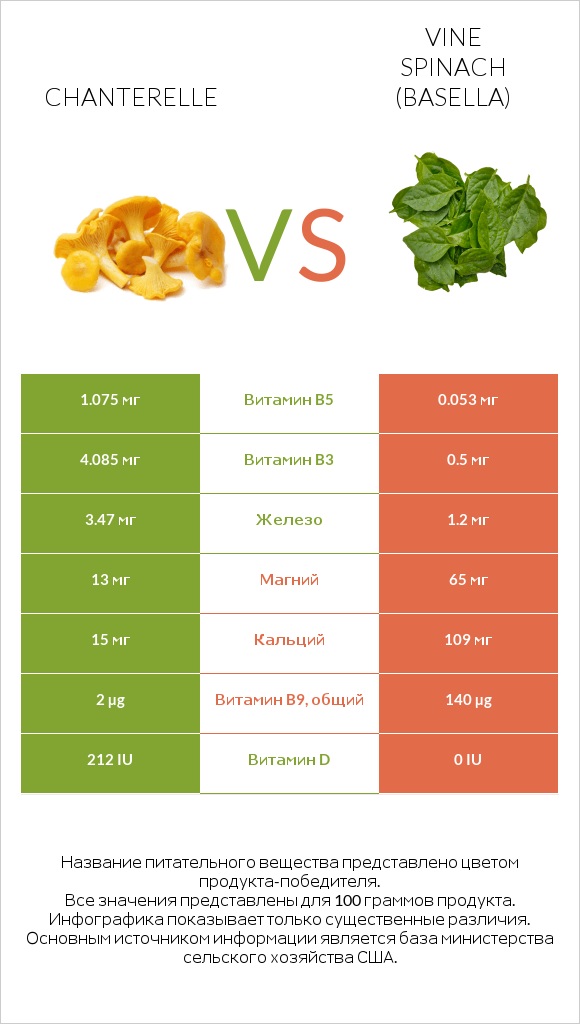 Chanterelle vs Vine spinach (basella) infographic