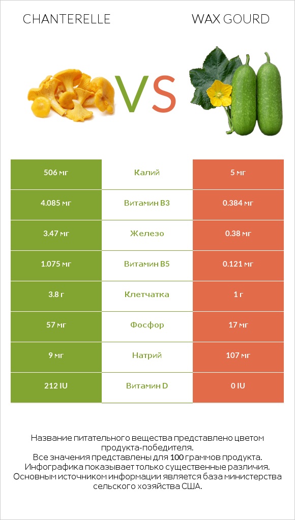 Chanterelle vs Wax gourd infographic