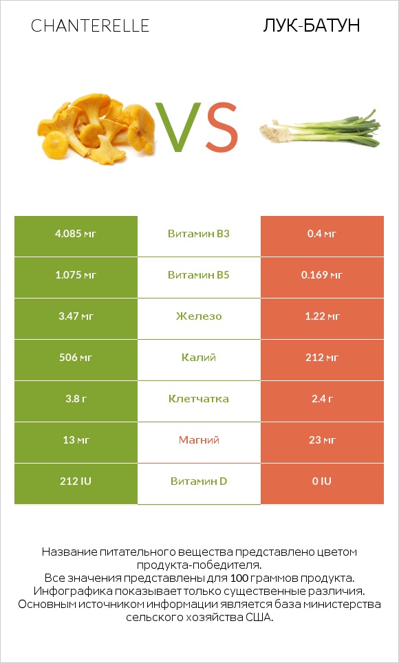 Chanterelle vs Лук-батун infographic