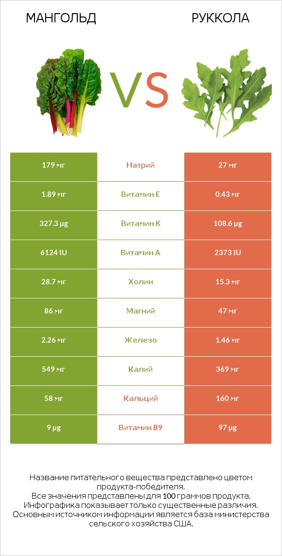 Мангольд vs Руккола infographic