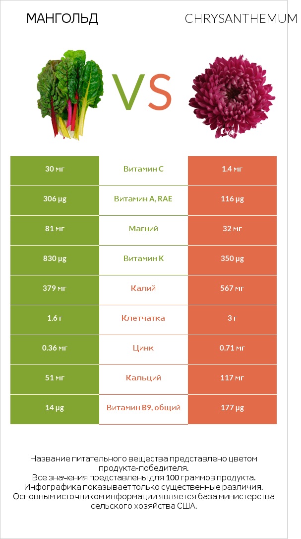 Мангольд vs Chrysanthemum infographic