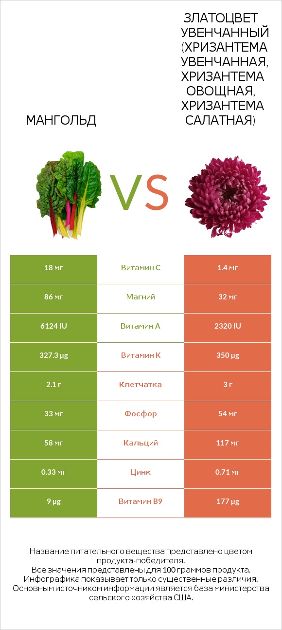 Мангольд vs Chrysanthemum infographic