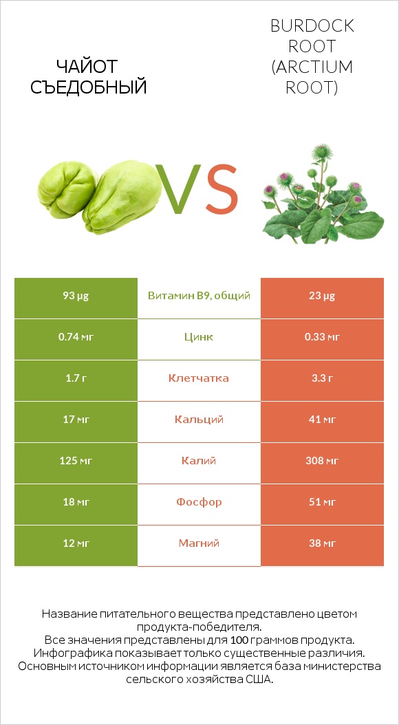 Чайот съедобный vs Burdock root infographic