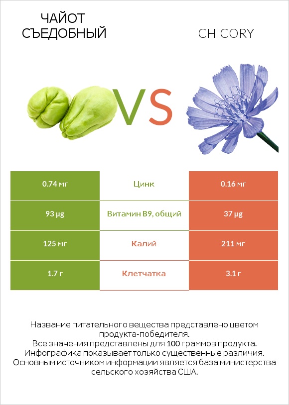 Чайот съедобный vs Chicory infographic