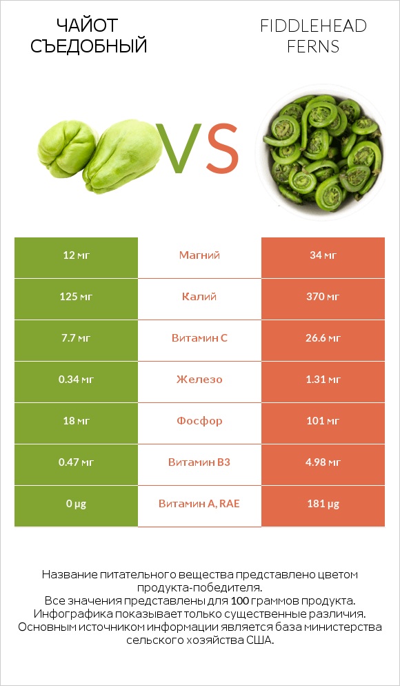 Чайот съедобный vs Fiddlehead ferns infographic