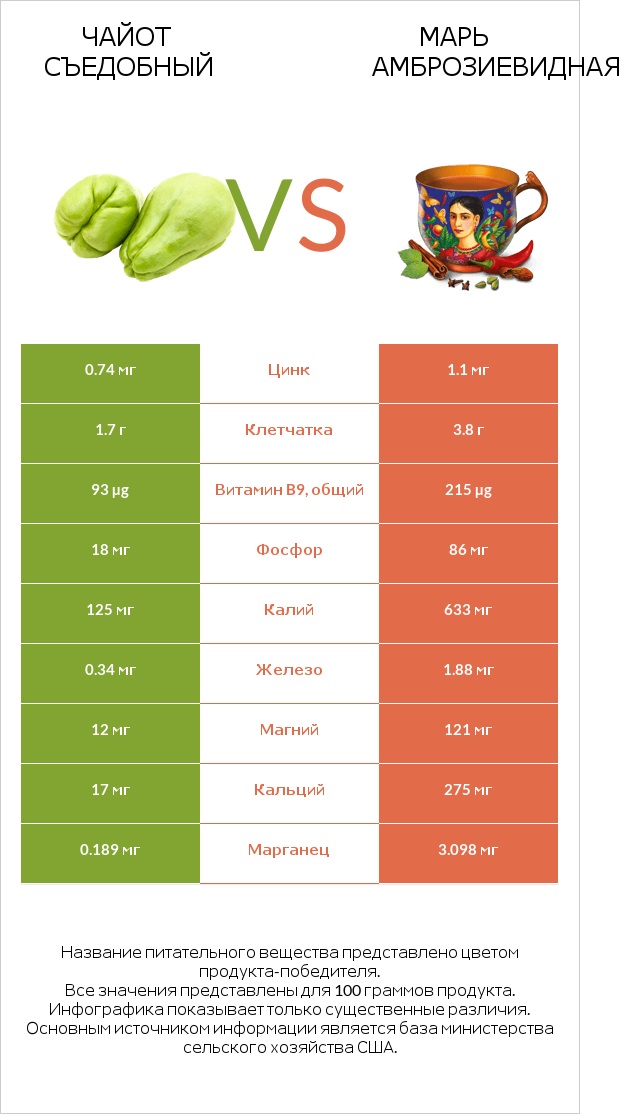 Чайот съедобный vs Марь амброзиевидная infographic
