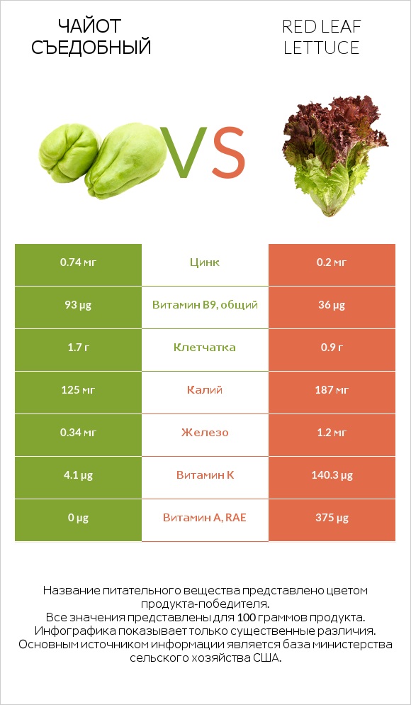 Чайот съедобный vs Red leaf lettuce infographic