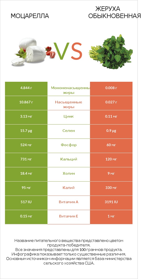 Моцарелла vs Жеруха обыкновенная infographic