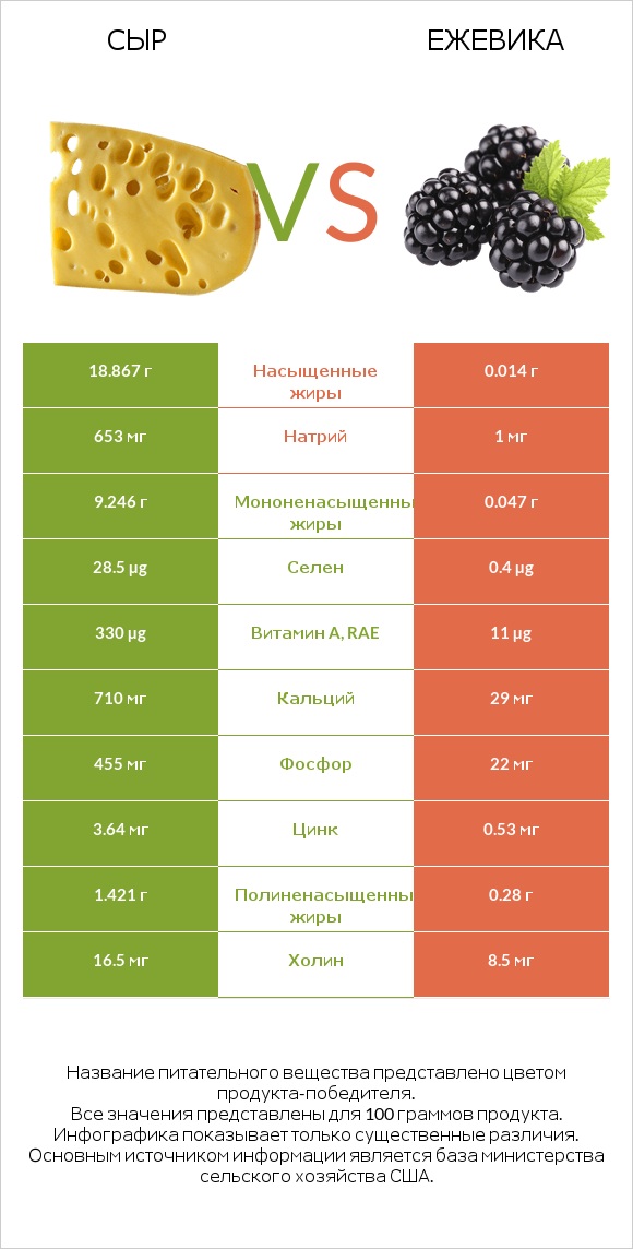 Сыр vs Ежевика infographic