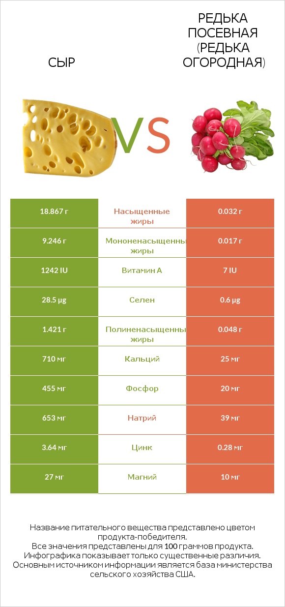 Сыр vs Редька посевная (Редька огородная) infographic