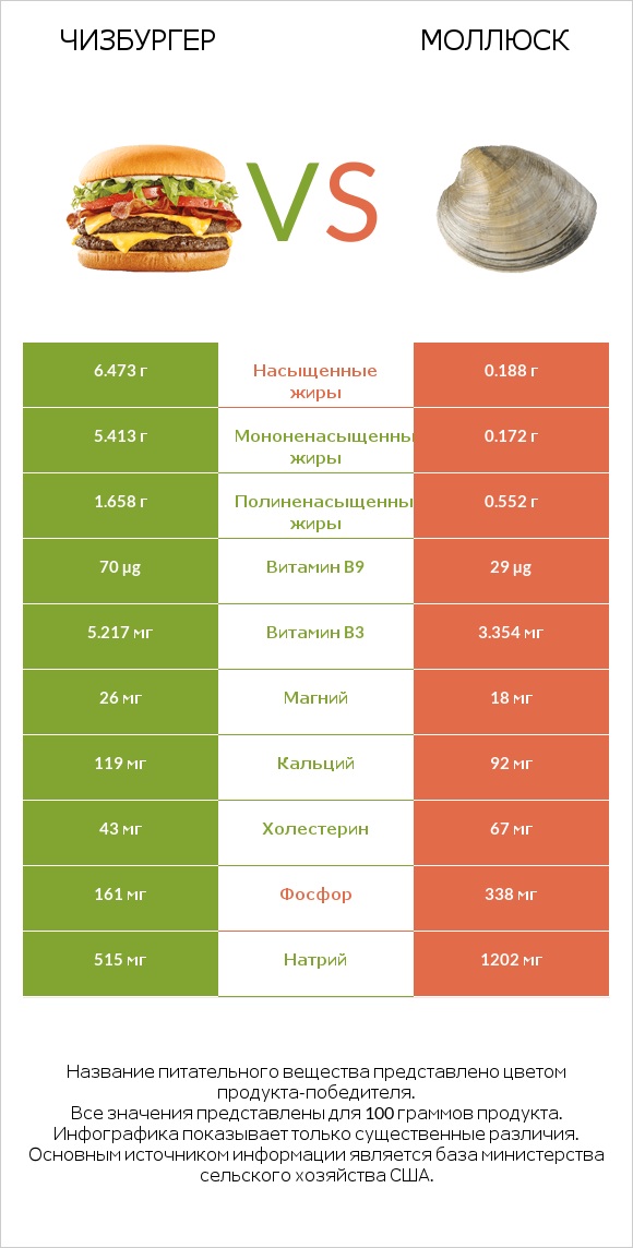 Чизбургер vs Моллюск infographic