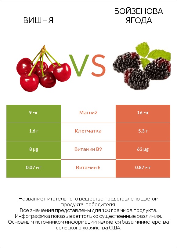 Вишня vs Бойзенова ягода infographic