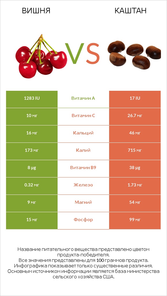 Вишня vs Каштан infographic