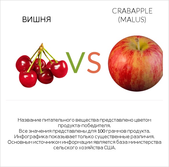 Вишня vs Crabapple (Malus) infographic