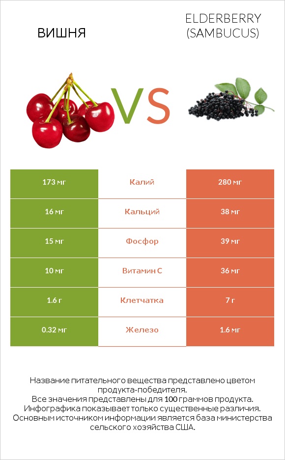 Вишня vs Elderberry infographic
