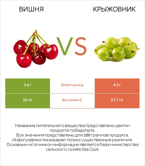 Вишня vs Крыжовник infographic