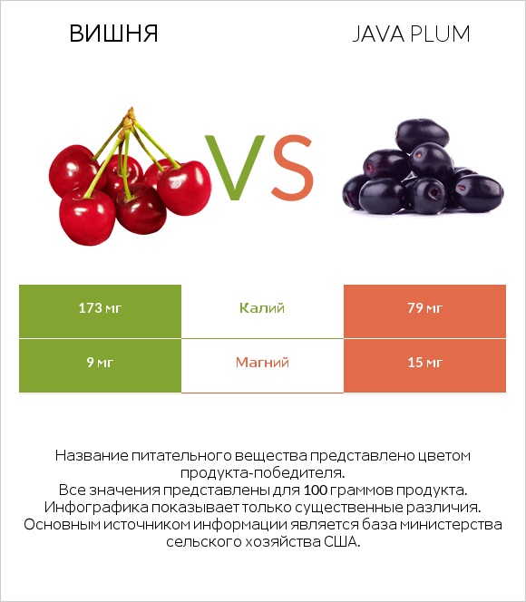 Вишня vs Java plum infographic