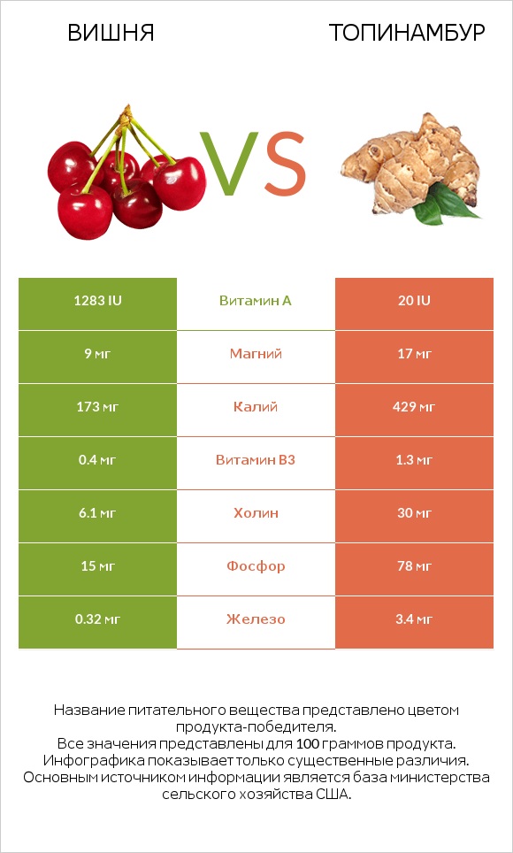 Вишня vs Топинамбур infographic