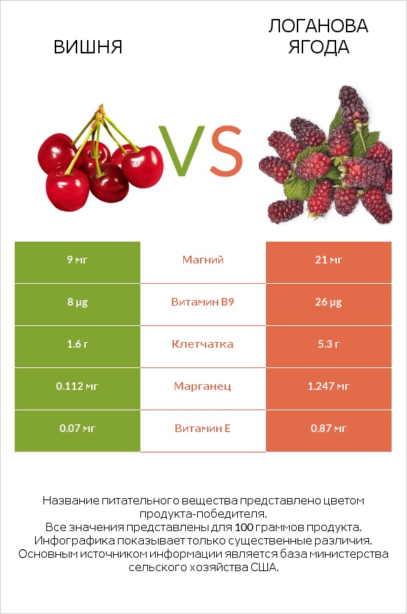 Вишня vs Логанова ягода infographic