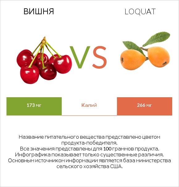 Вишня vs Loquat infographic