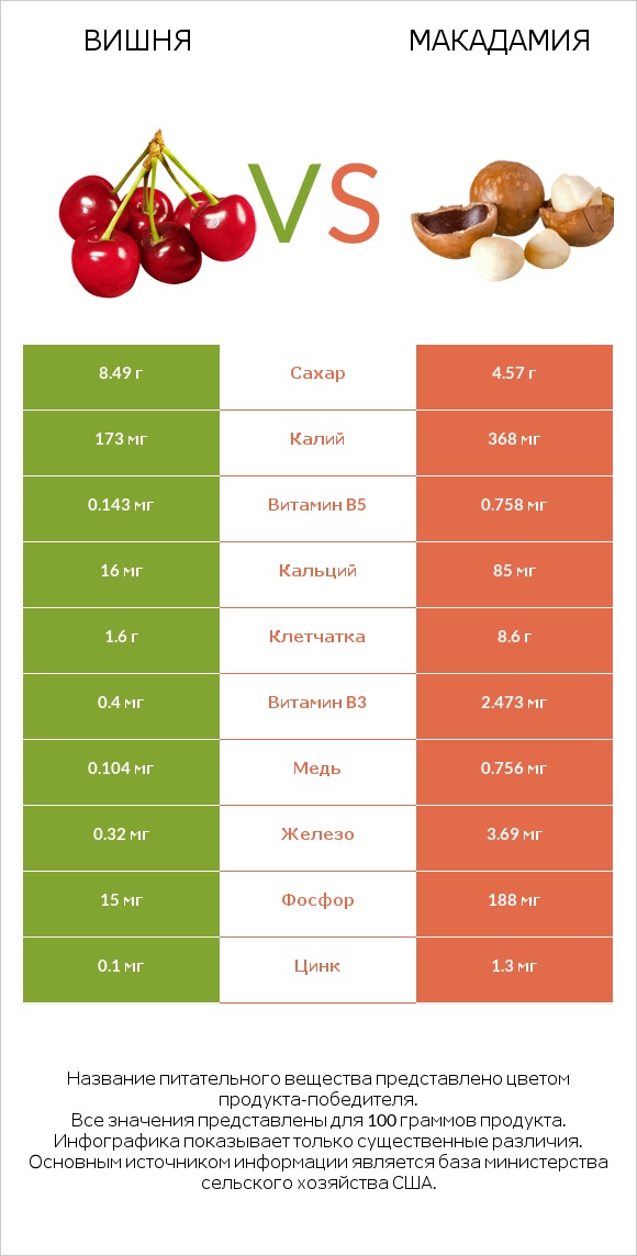 Вишня vs Макадамия infographic