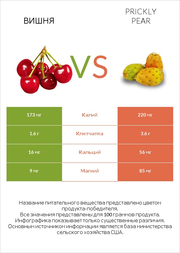 Вишня vs Prickly pear infographic