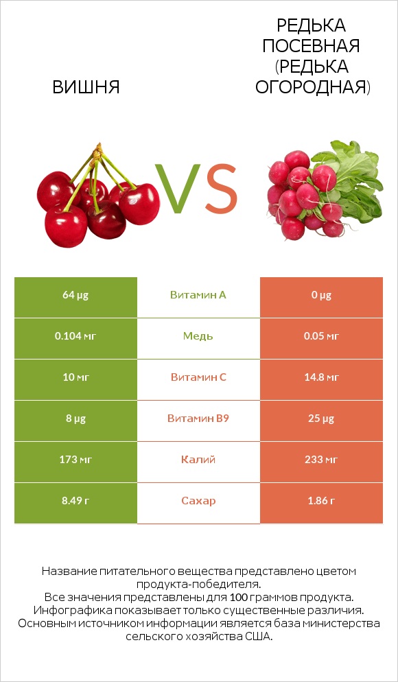 Вишня vs Редька посевная (Редька огородная) infographic