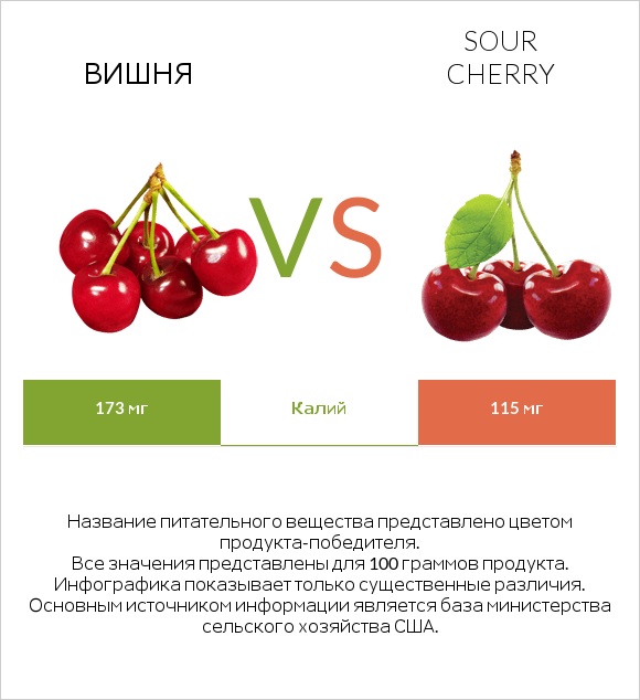 Вишня vs Sour cherry infographic