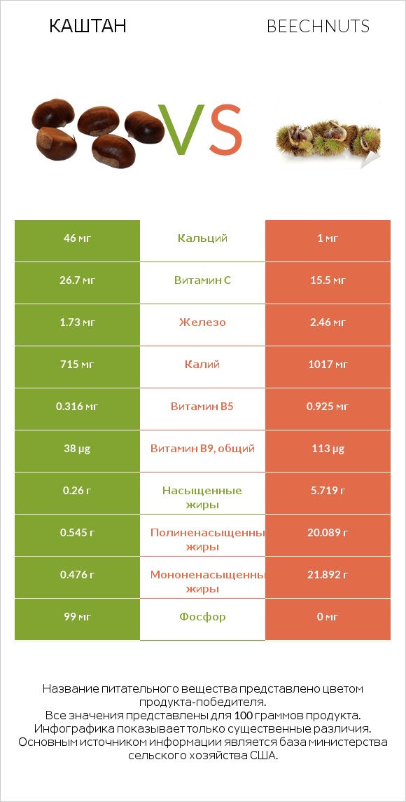 Каштан vs Beechnuts infographic