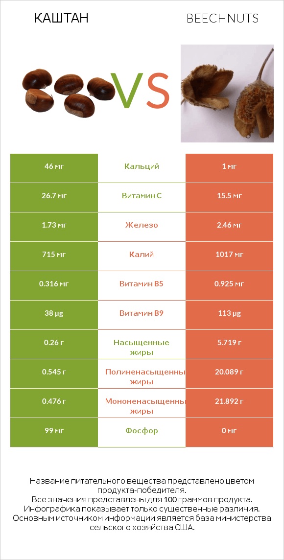 Каштан vs Beechnuts infographic