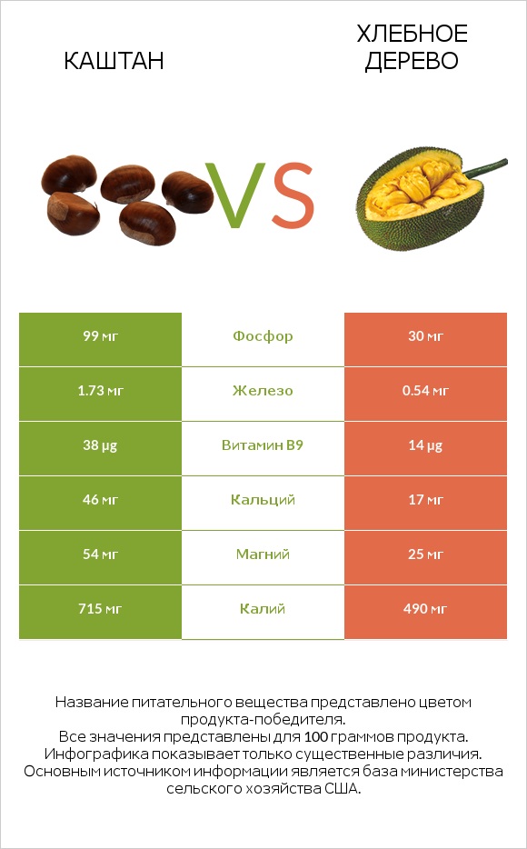 Каштан vs Хлебное дерево infographic