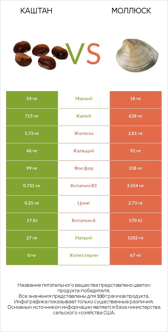 Каштан vs Моллюск infographic
