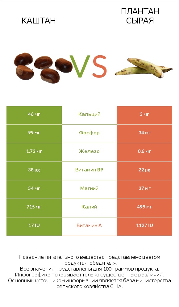 Каштан vs Плантан сырая infographic
