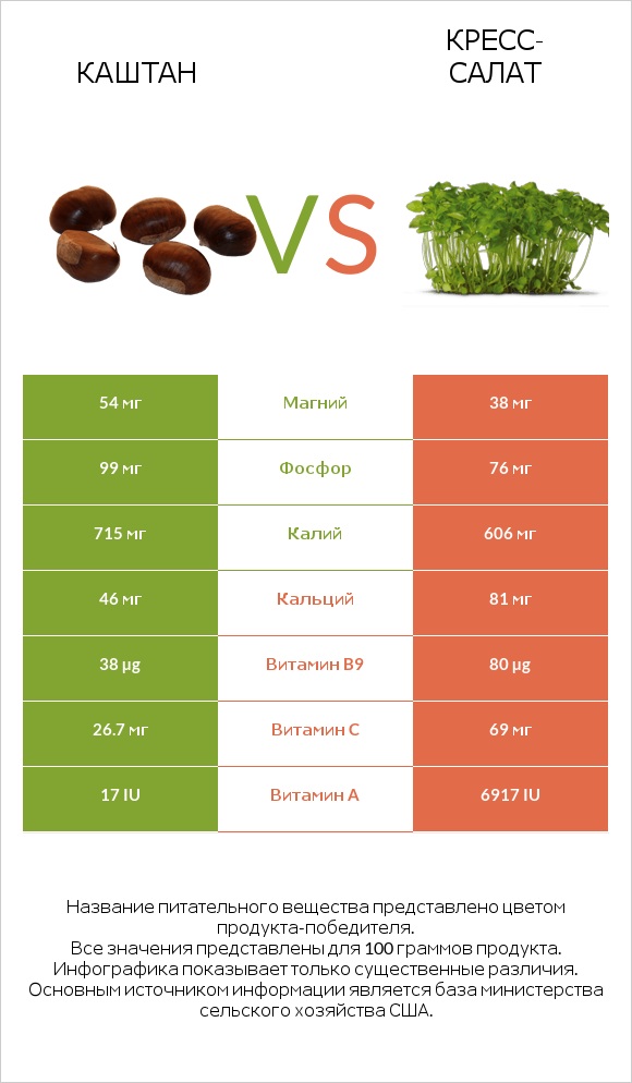 Каштан vs Кресс-салат infographic