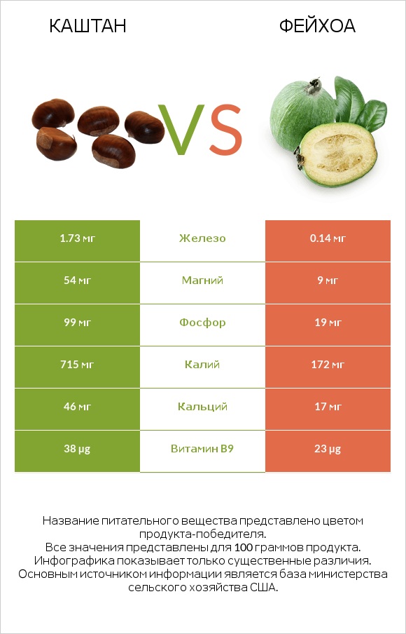 Каштан vs Фейхоа infographic