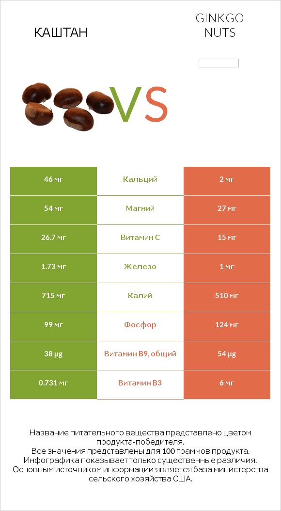 Каштан vs Ginkgo nuts infographic