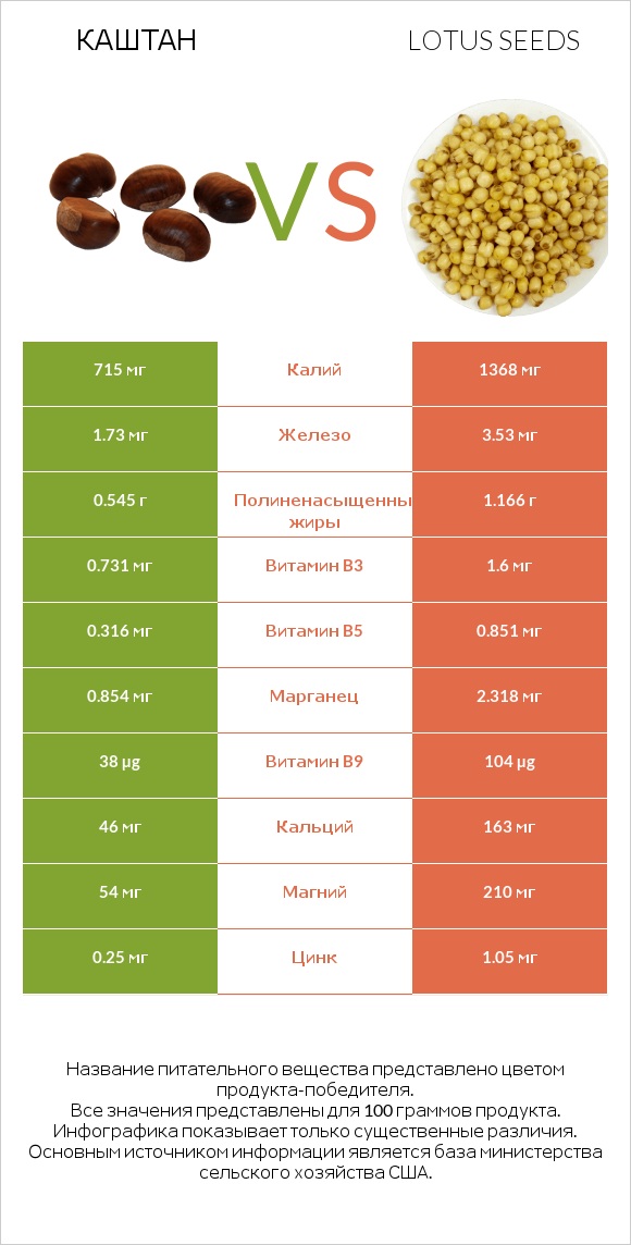 Каштан vs Lotus seeds infographic