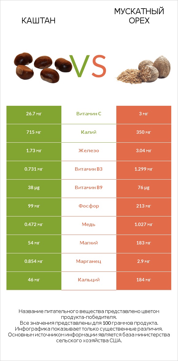 Каштан vs Мускатный орех infographic