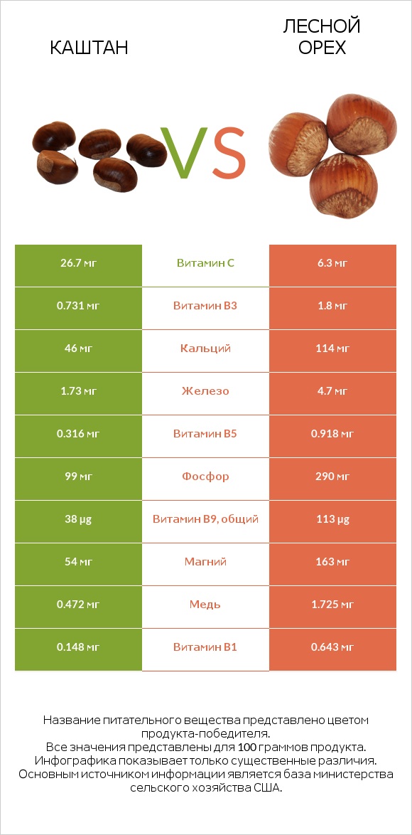Каштан vs Лесной орех infographic