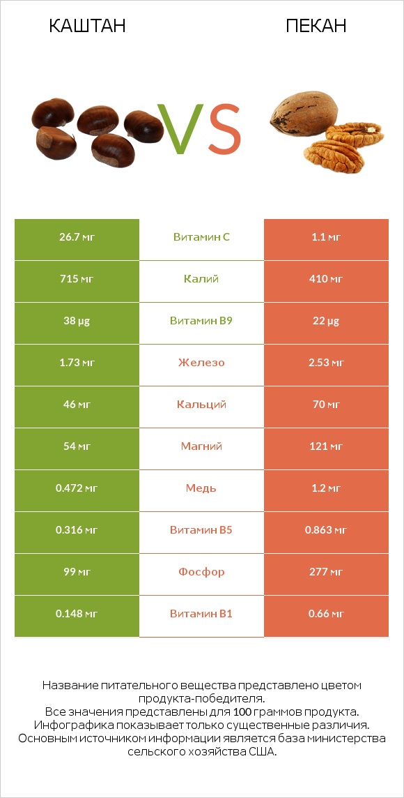 Каштан vs Пекан infographic