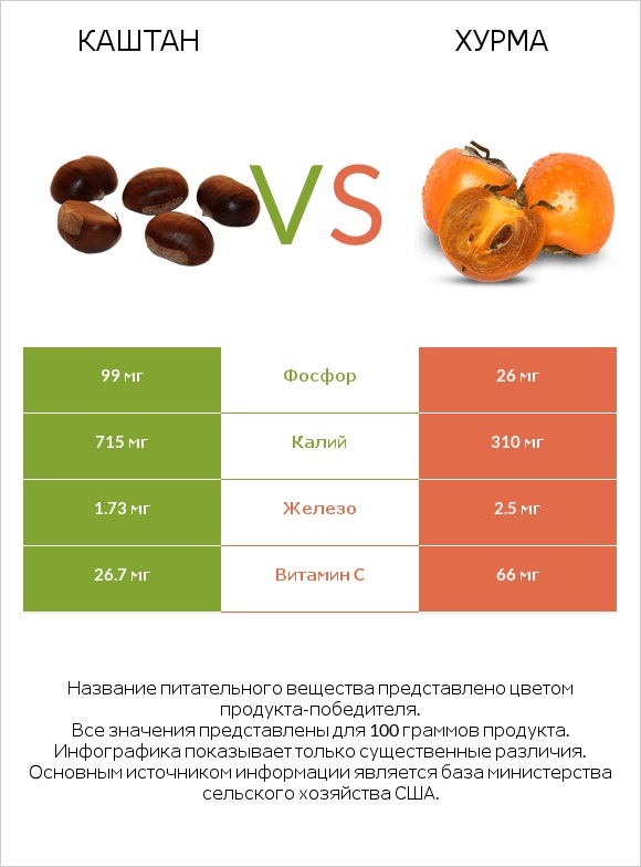 Каштан vs Хурма infographic