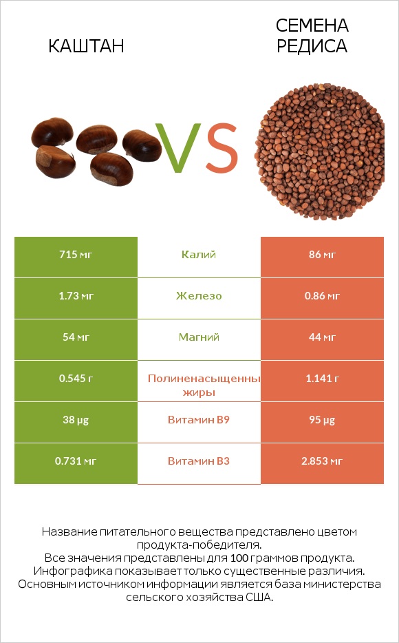 Каштан vs Семена редиса infographic