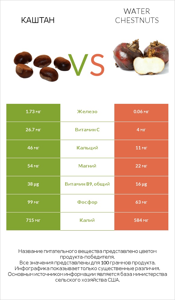 Каштан vs Water chestnuts infographic