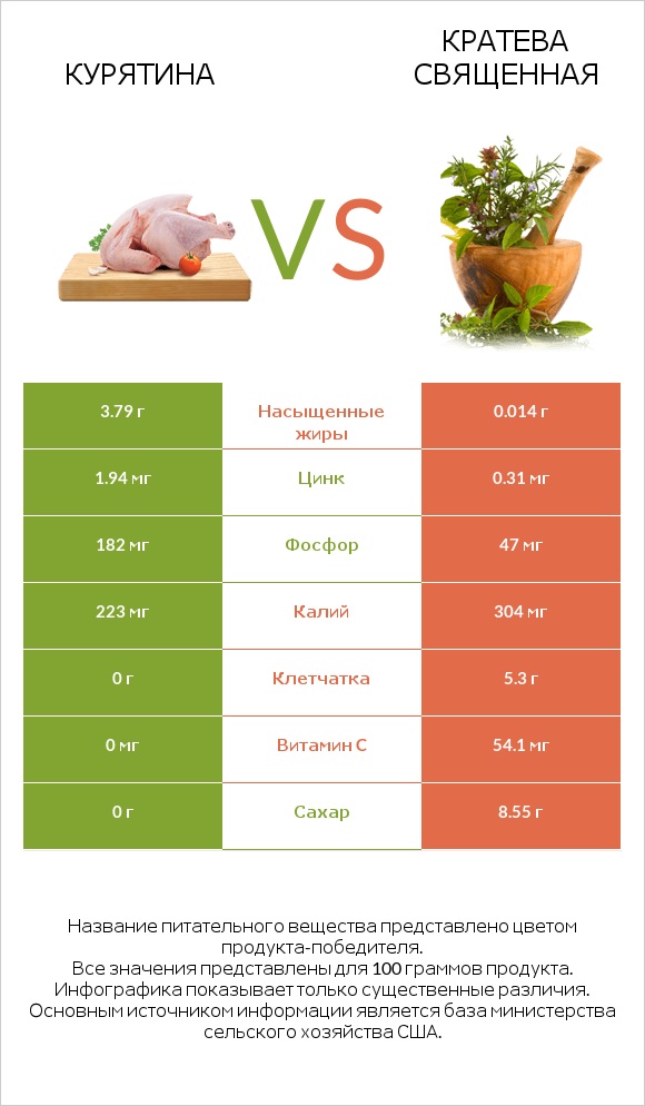Курятина vs Кратева священная infographic