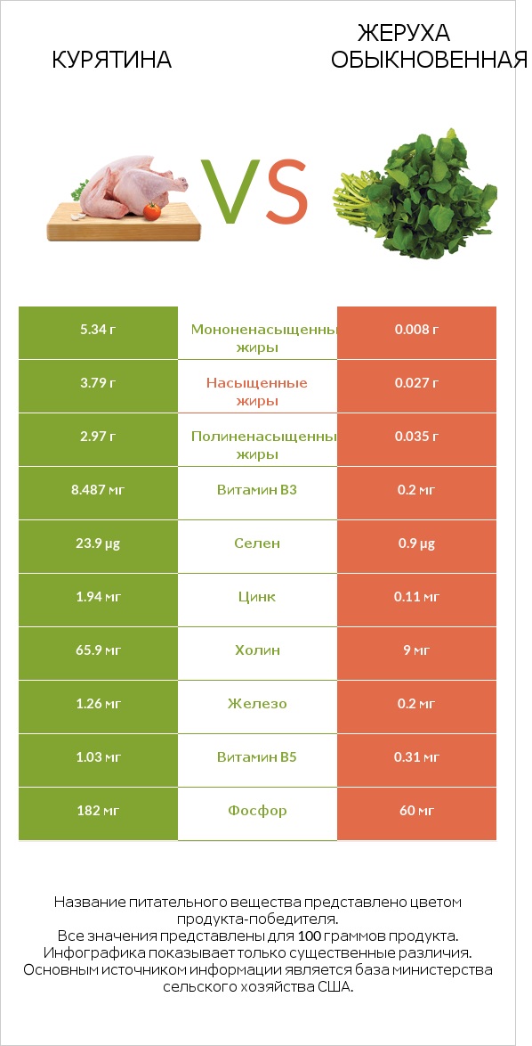 Курятина vs Жеруха обыкновенная infographic