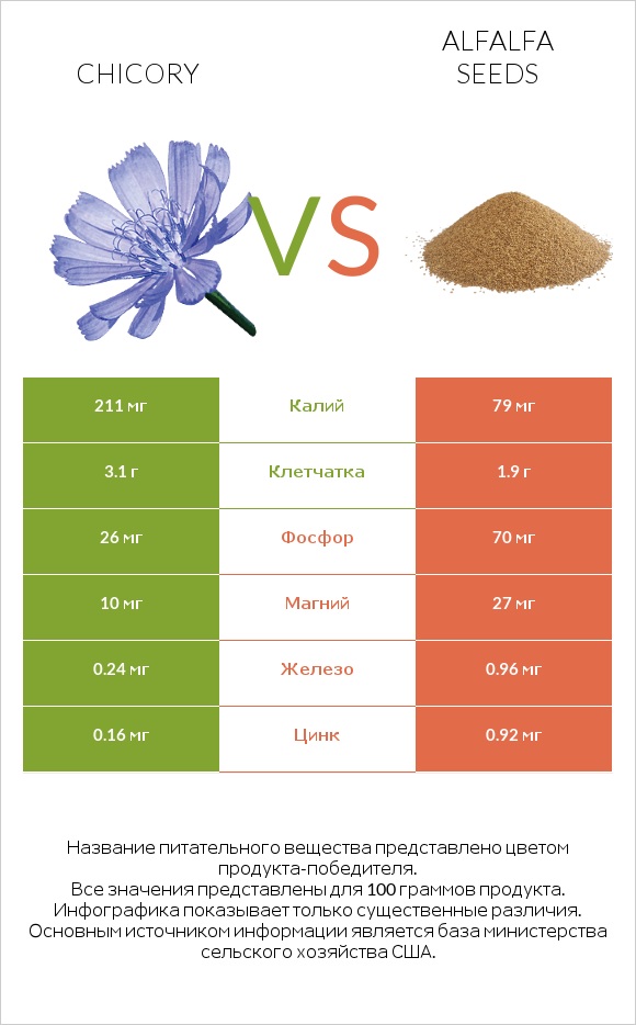 Chicory vs Alfalfa seeds infographic